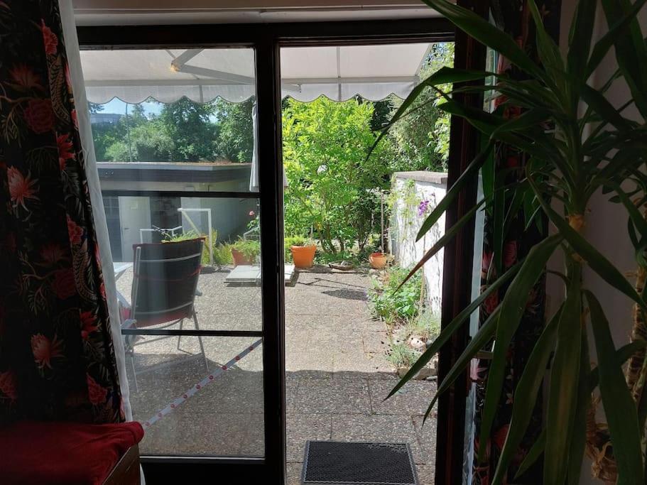 Grosszuegige Wohnung Mit Terrasse Wuerzburg, Zell Zell am Main Екстериор снимка